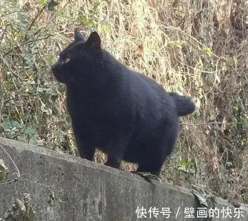 |搞笑GIF:一张膜十元钱,我都帮你免费贴了,你还想哪样?