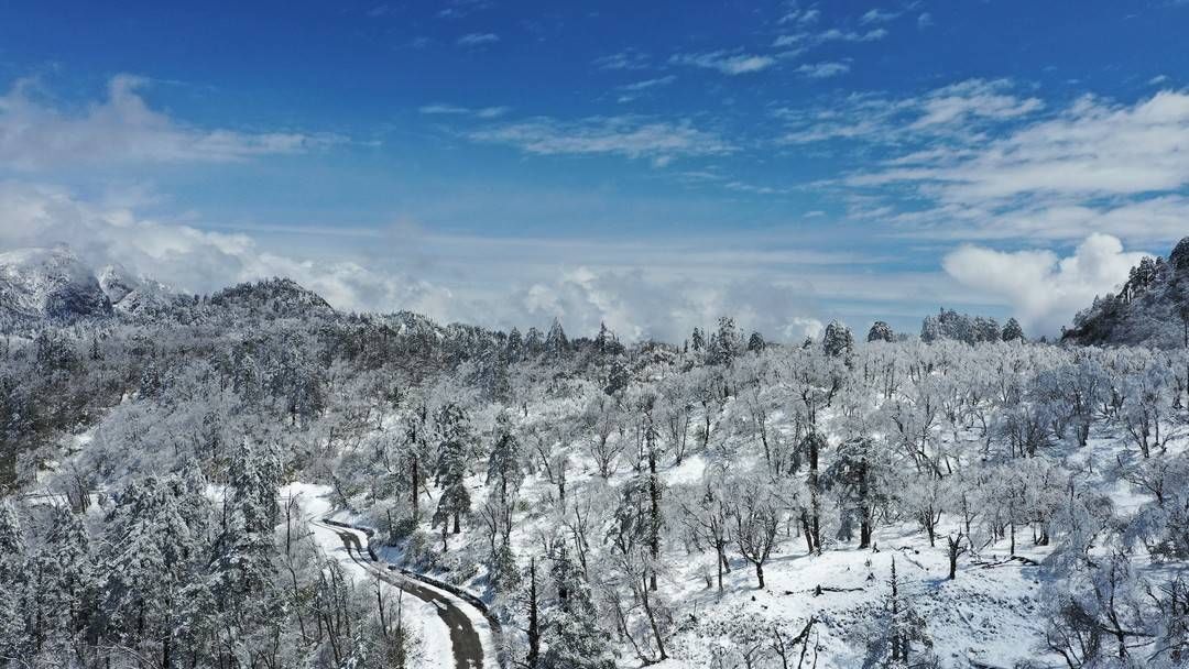 日照金山|寒意来袭！雅安王岗坪迎来今冬第一场雪