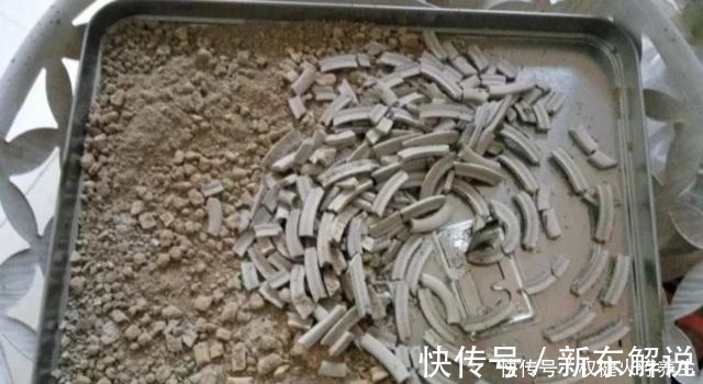 蚊香|浇水时加点小东西，植物用了呼呼长，连肥料都省了！