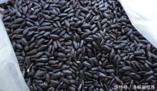 身体|坚持喝黑米粥的人,身体会出现以下3种变化,早知早好