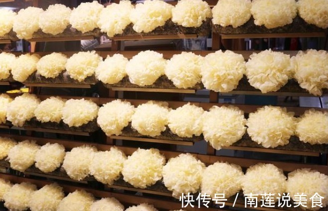 秋来临,“少吃二瓜,多吃六白,牢记四件事”,顺利过秋夏交替