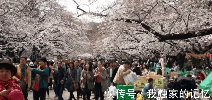 日本人&日本人 本日飞机飞日本, 中国网友不服气, 下联让日本人傻眼