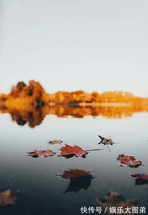 吴官#王维 赠吴官