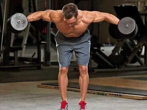 肌肉|肩膀肌肉中三角肌后束有什么功能，反向飞鸟训练又有什么缺点？