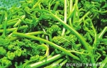 景天三七|常見的野菜都有多種功效，對癥吃才不浪費