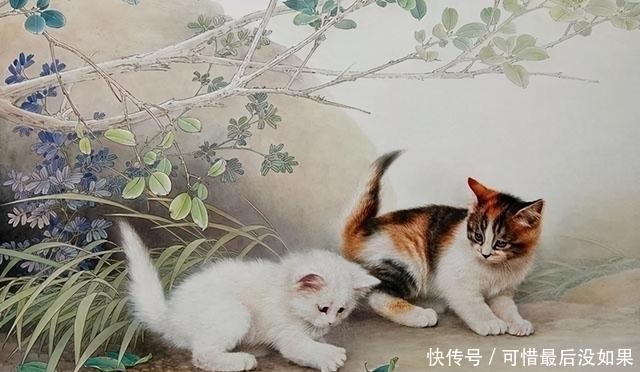 古人|古人为什么不吃猫肉?李时珍说:有一种情况千万别吃