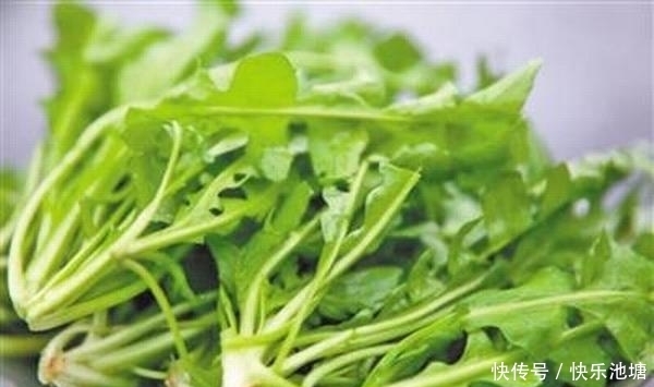 農(nóng)村這3種沒人要的野菜,聰明人卻把它們當(dāng)寶,你認(rèn)識(shí)幾種?