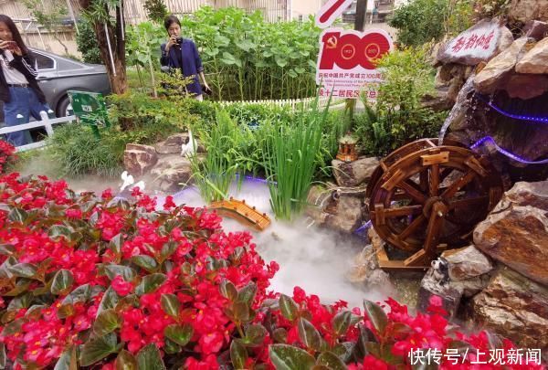 仙境 惊艳！上海老人在小区造“仙境”景点，家门口种花搞出各种名堂