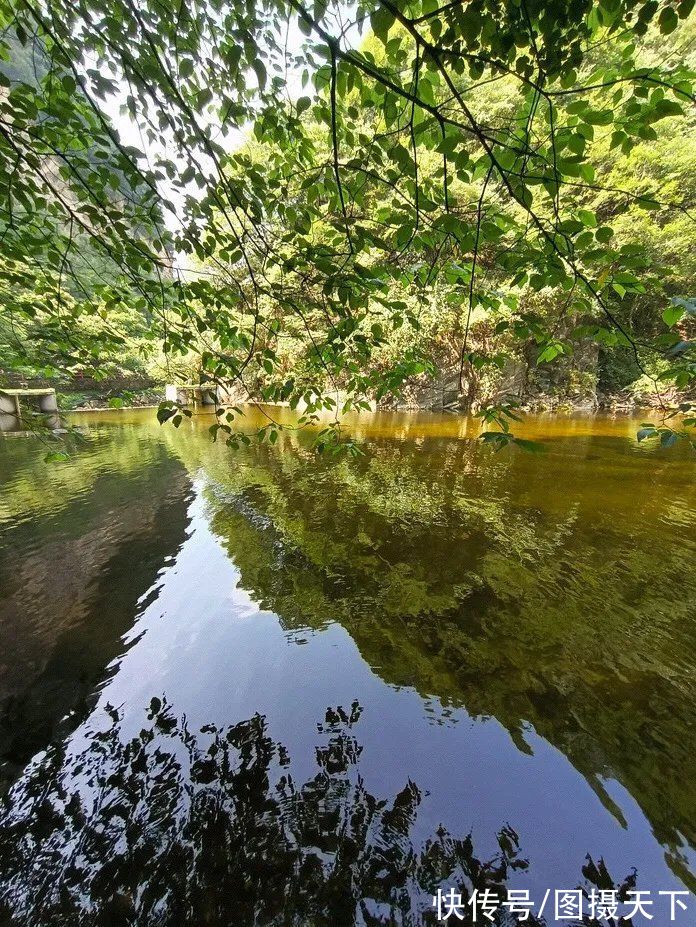 长尾雉|太平峪是北方九寨沟、西安小华山吗？