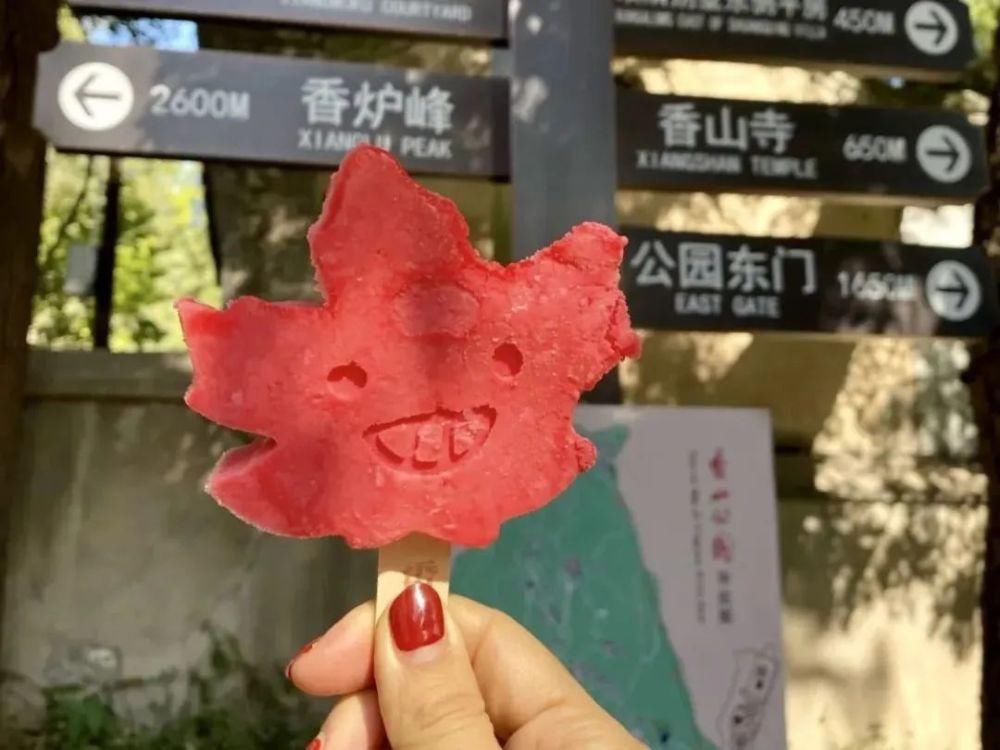  玉渊潭|景区跟风出文创雪糕，拜托走点儿心吧！