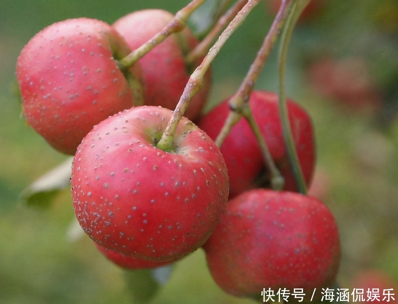 草莓|超市很常见的三种食物，营养丰富、延缓衰老，身体棒棒哒！