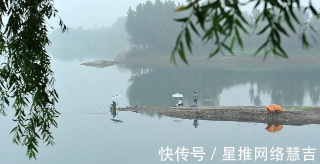 地形|秋天钓鱼人不愿分享的四个钓位,却是藏鱼的“宝地”,可惜才知道