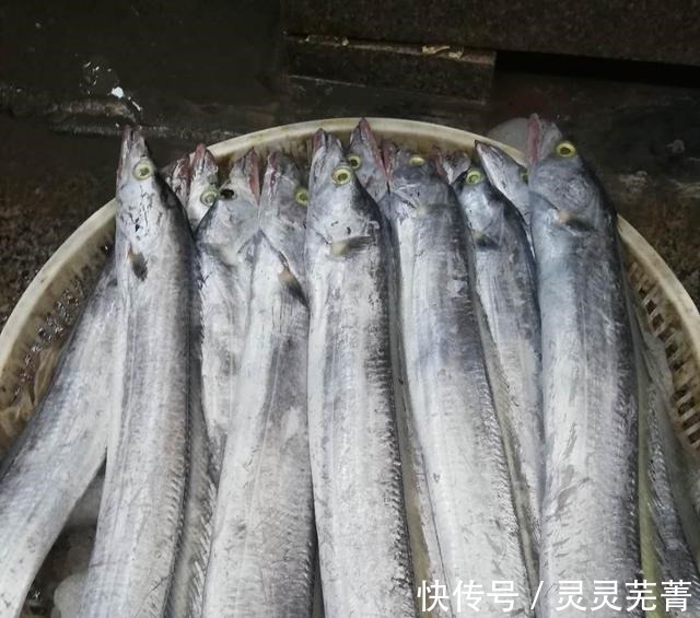污染|这几类鱼尽量少吃，或对身体不利，不妨了解一下！