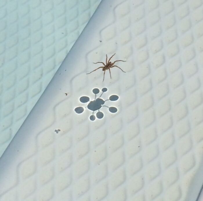 照片@一组令人称奇的真实照片,让人怀疑自己的眼睛