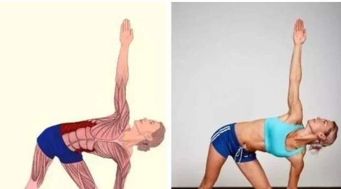 强身健体|全身拉筋3D图解，一步到位，在家也能强身健体