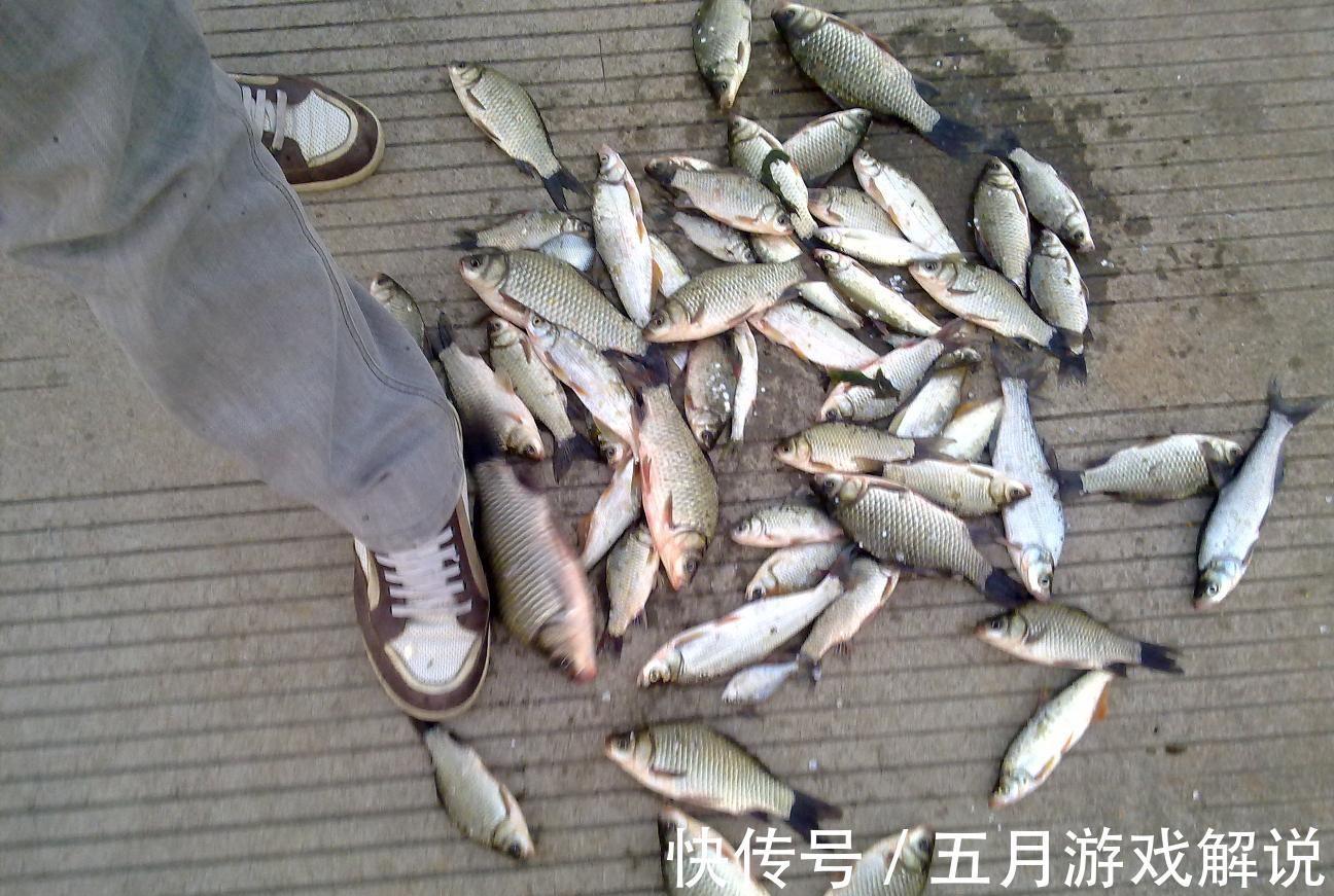 冬季野钓,你得会钓草,这三个有草的位置,草底下都是鱼