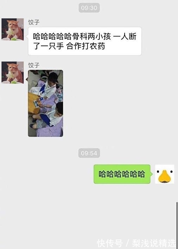 |搞笑GIF:好奇害死猫啊,而且还容易招打,哈哈哈