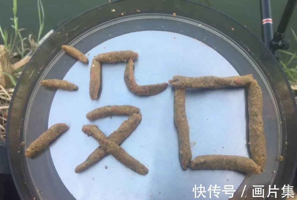 当下鱼为什么难钓了？原来是因为这些原因，难怪钓友们会感慨