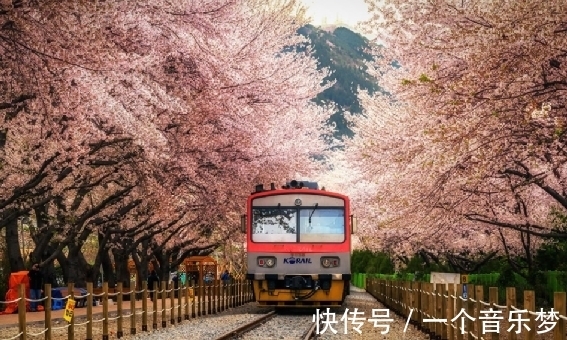 电车迷|被日本电车迷攻击的外国人，成为了日推上最火的网红