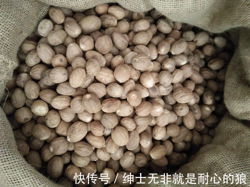 过年不管炖什么肉,只放4种调料就好,肉越炖越香,涨知识了