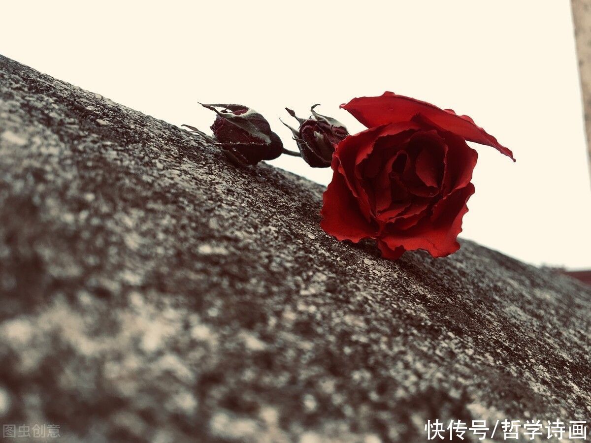 资产阶级|司汤达19世纪法国批判现实主义作家，主要作品是什么？