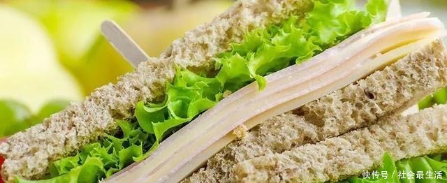 外国人发明的“室内小菜园”,一年四季长爆盆,太神奇了……!