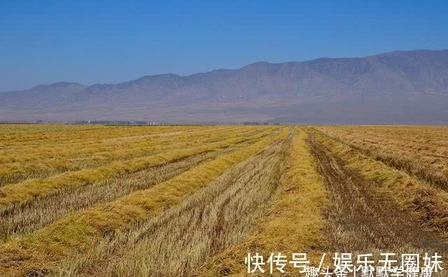 九蒸九|秋天做好这3点，把阳气收得紧紧实实，整个冬天不亏虚！