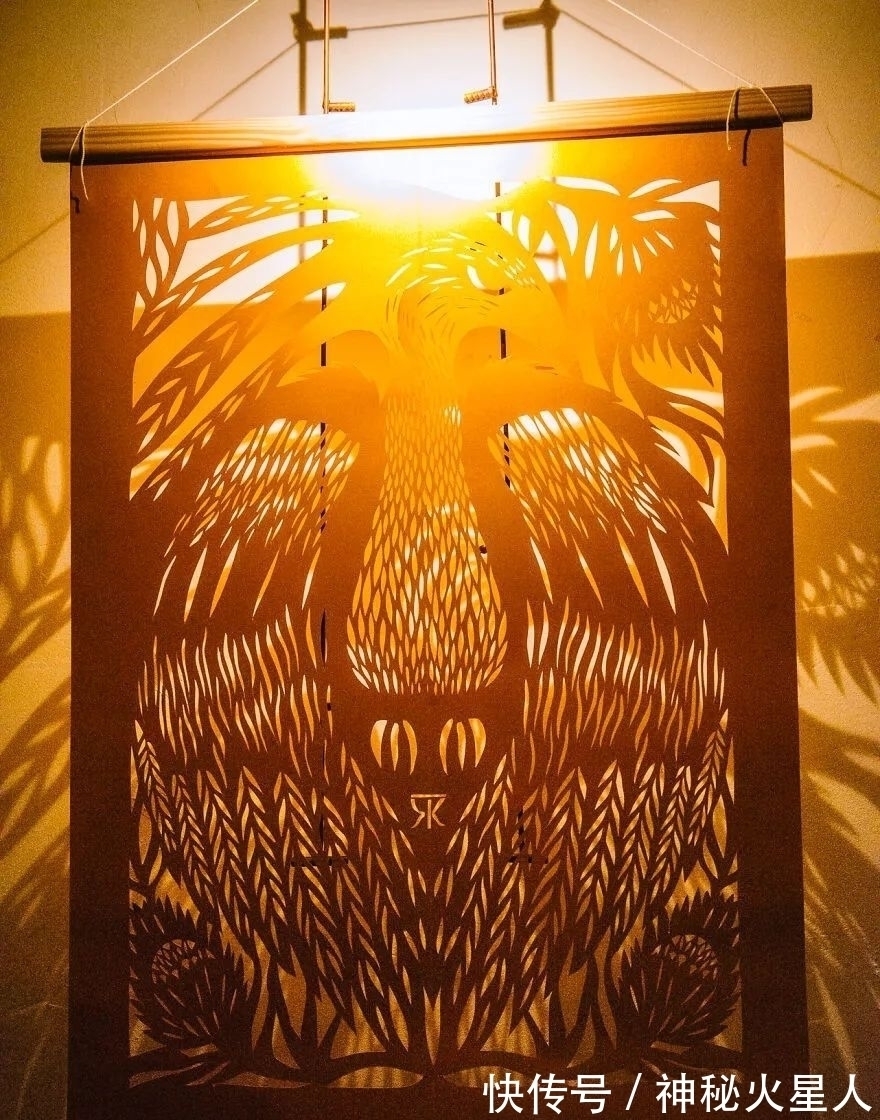 弗里达$她的剪纸作品太有想象力了!夸一句精美绝伦,一点也不过分