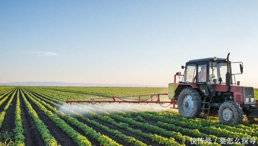 模仿《咏鹅》写《咏鸡》,农民凭18字获得文学奖,引来反对声一片