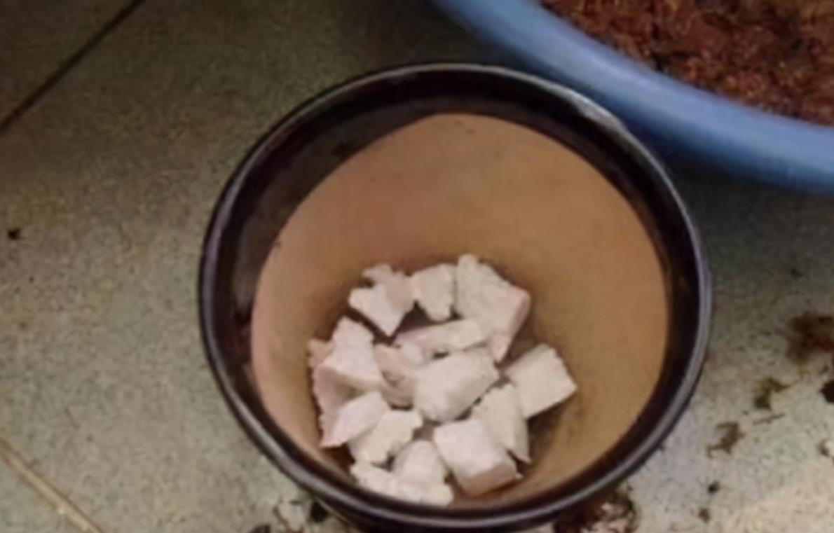 春季换盆“垫底”,十种材料不用花钱买,好用又透气,赶紧去找点