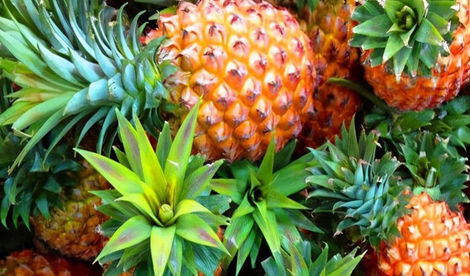 陈医师|女性不妨多吃3种食物,营养丰富、减肥瘦身,谁吃谁受益!