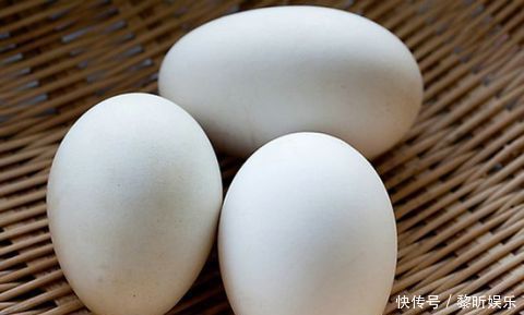 鹅蛋|经常吃鹅蛋有什么好处蛋白质维生素无机物丰富的