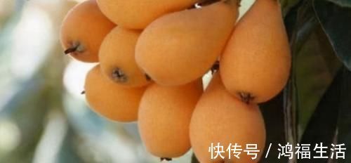 食物|女性想要身体好,推荐3种食物,润肠通便,排毒消脂,营养又瘦身