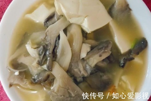 平菇|餐桌上的“天然抗生素”,杀菌消炎,健胃降脂,提高免疫力