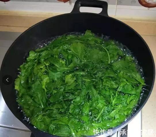 柚子皮|邻居浇花从不用清水,2种营养水浇灌,养啥花都爆盆