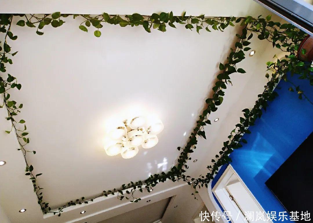 3个月后才回家,家里的花疯了,墙缝、房顶都爬满!