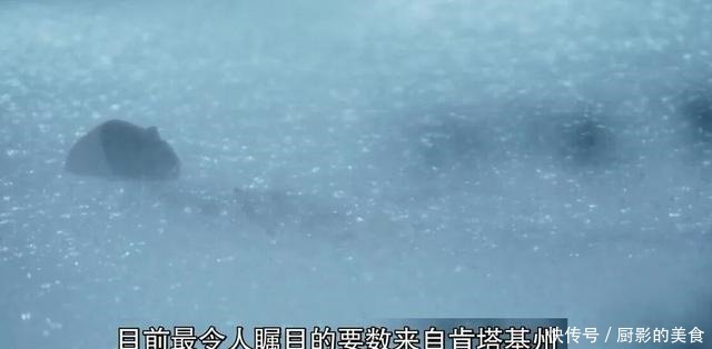 女性孤独的觉醒之路,无需爱情和男人,人生只剩下打怪升级一样爽!