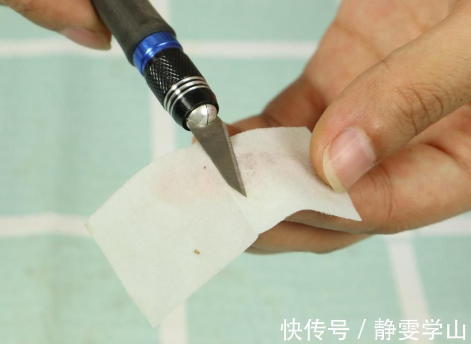 叶子|养护蟹爪兰,要注意8个要点,才能开出仙气飘飘花