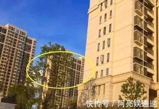 丈母娘|西户房和东户房哪个更好夏天到了，丈母娘天天那边叫着热，烦死