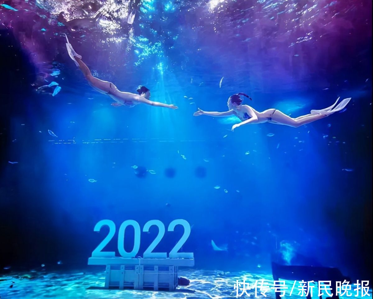 水下|水下也有“虎虎生威”！这个2022年的打开方式很特别