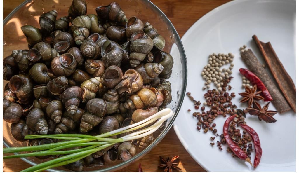骨科医生|68岁骨科医生研究骨质疏松40年，建议：3种食物少吃，远离骨质疏松