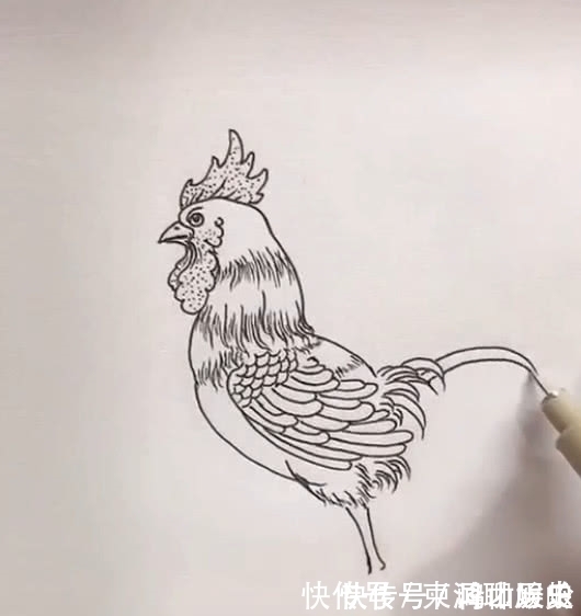 美术生#美术生画公鸡，不起型直接画，成品很有料，网友：橡皮擦放假了