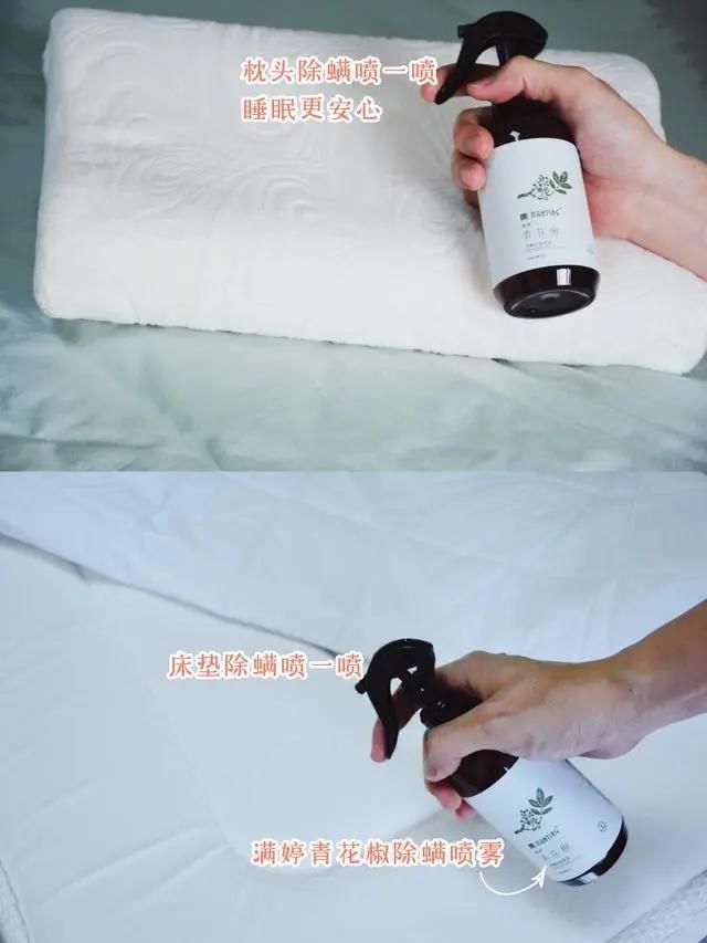 90的人都在陪螨虫睡觉螨虫最怕3种东西，好好利用，螨虫跑光光