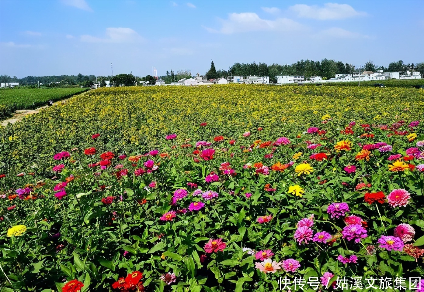 交错|穿越古今当涂，来一次平行时空交错之旅