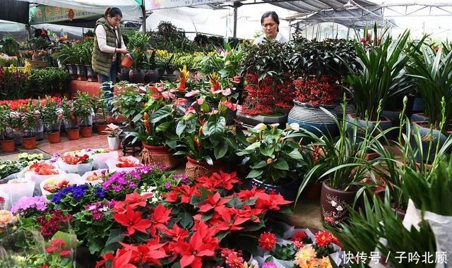 卖花人的5个“谎言”，你信了吗反正我不信！