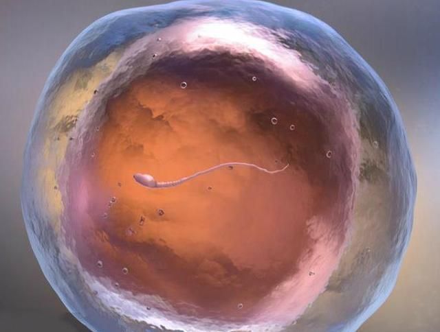 胎停育|怀孕7周未见胎心,被确诊为胎停:这4种症状,最易导致无故胎停!