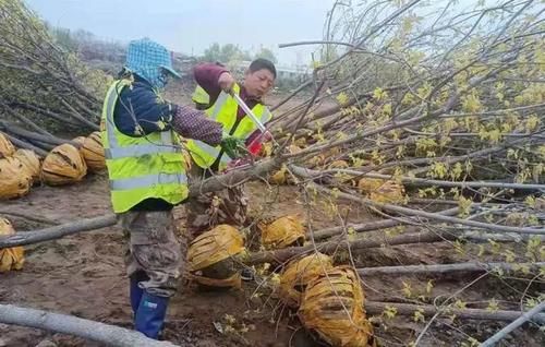 2021年5月2日抚顺要闻快报