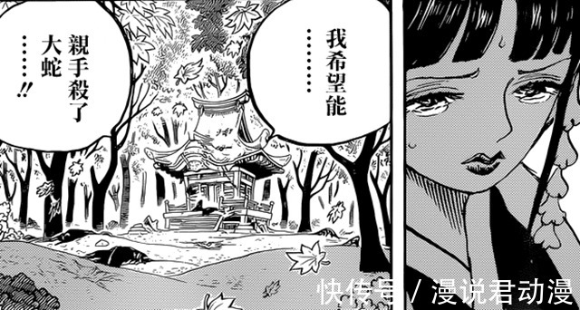 九侠|海贼王:日和再遇大蛇,时隔80多话的愿望,终于要实现了