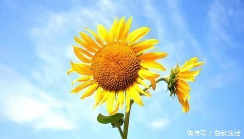 蚂蚁|调查发现:长寿的人都有5个“特点”,如果占2个以上,恭喜