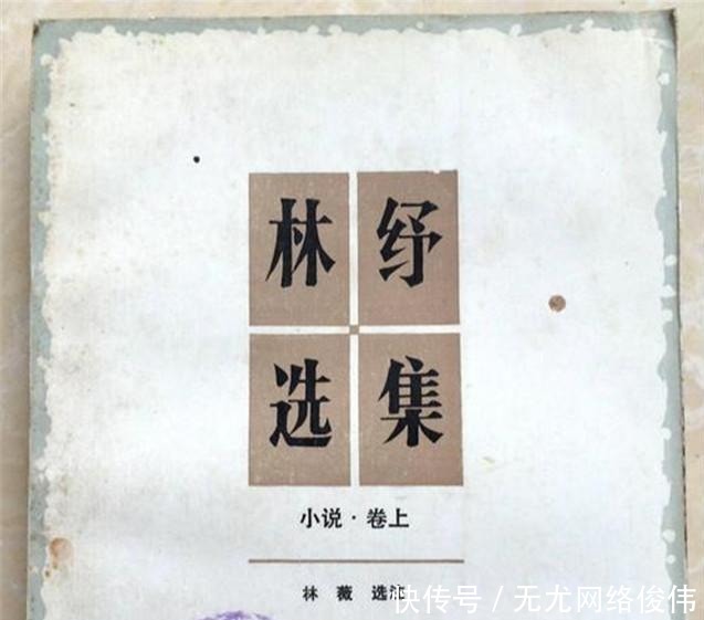 译出|一个不懂外语的老头,却译出众多经典,翻译家林纾怎么做到的?